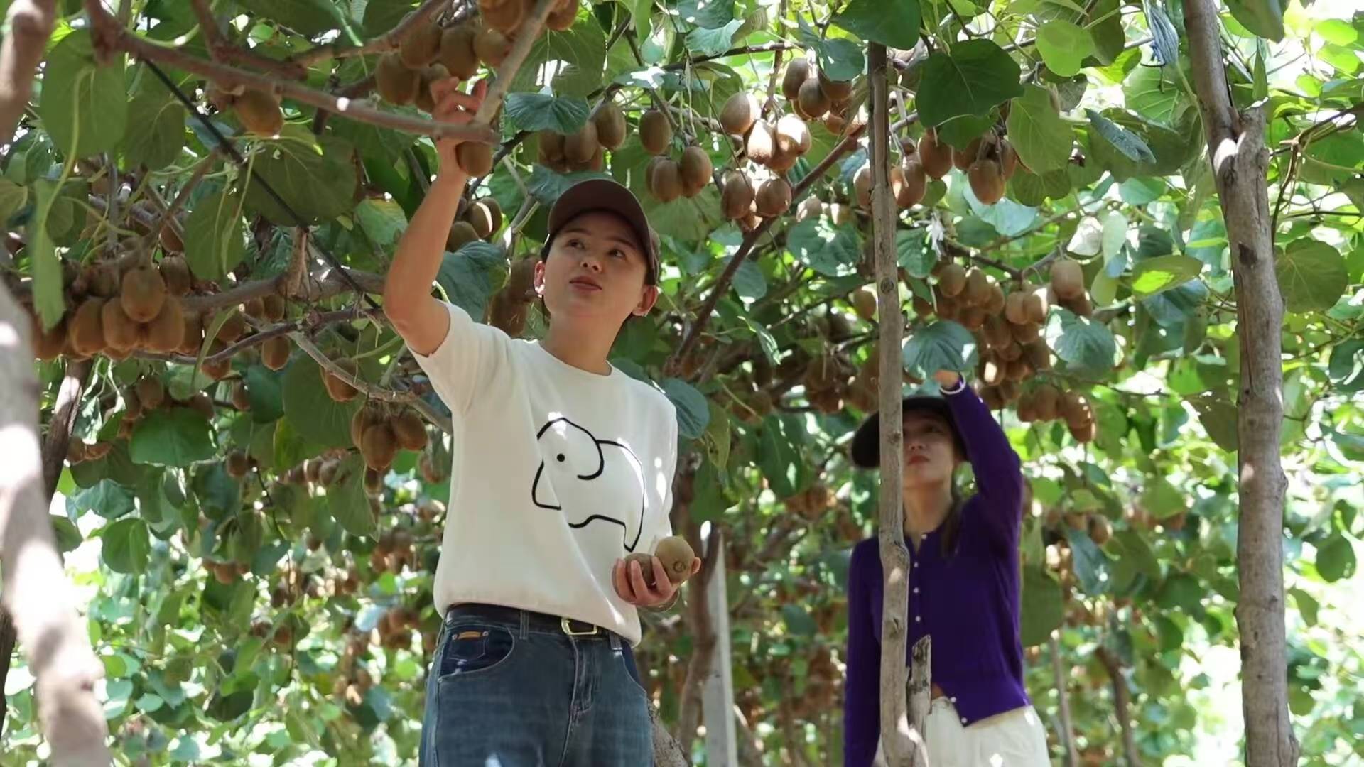  鄉(xiāng)村振興注入了“甜蜜”力量